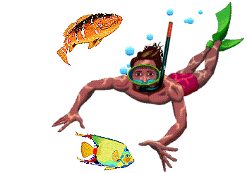 Image of Snorkeller with Fish
